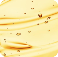 Probiotics to Support Digestion